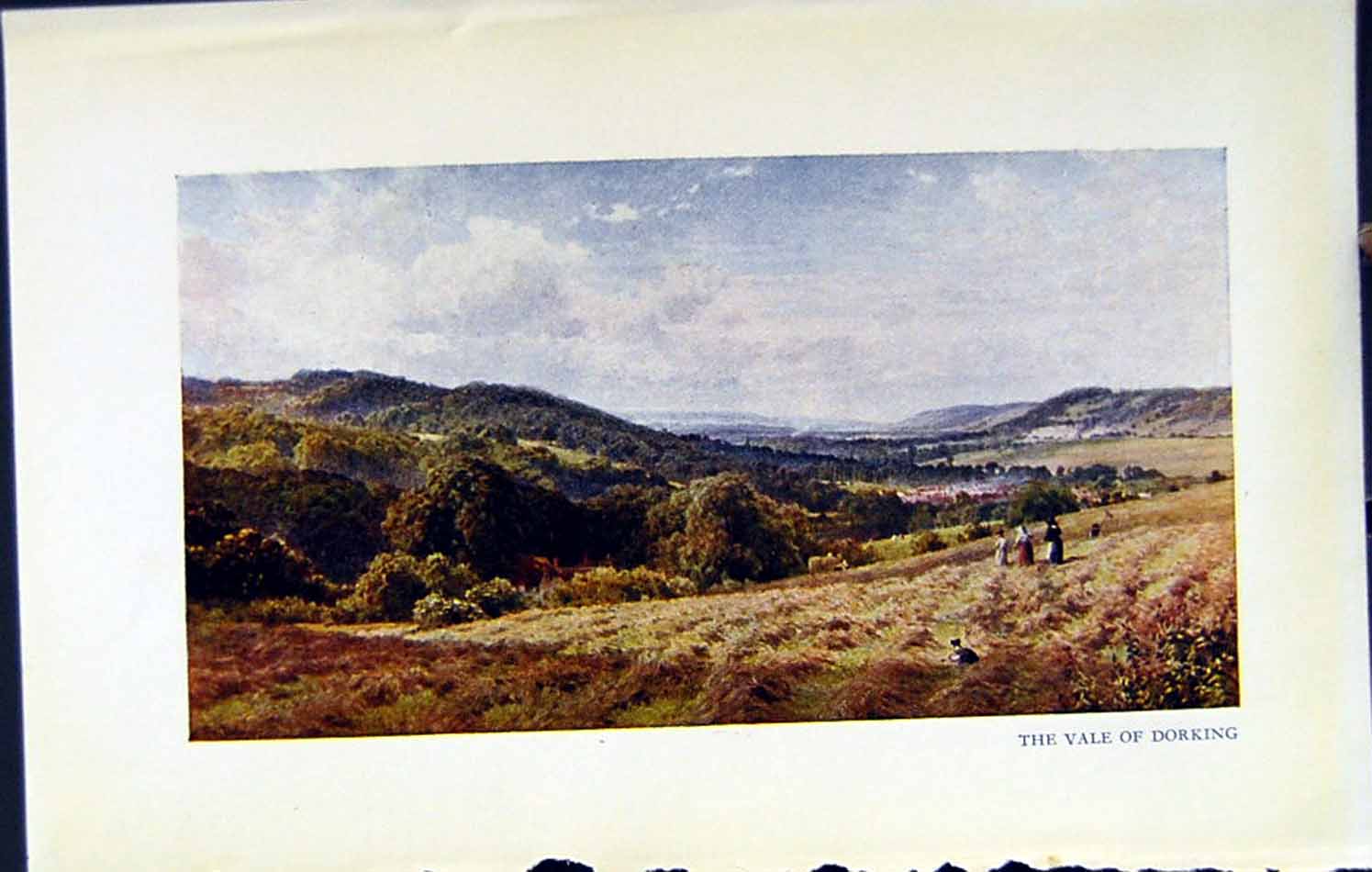 Original Old Vintage Print C1934 View Vale Dorking Hills Countryside Landscape
