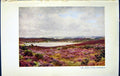 Original Old Vintage Print C1934 Colour View Great Pond Frensham England 20th