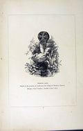 Antique Old Print *2723 C1858 Cross Tremoor Cornwall Lanivet England Blight
