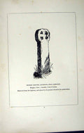 Old Antique Print *2726 C1858 Cross Rectory Lanteglos Camelford Cornwall