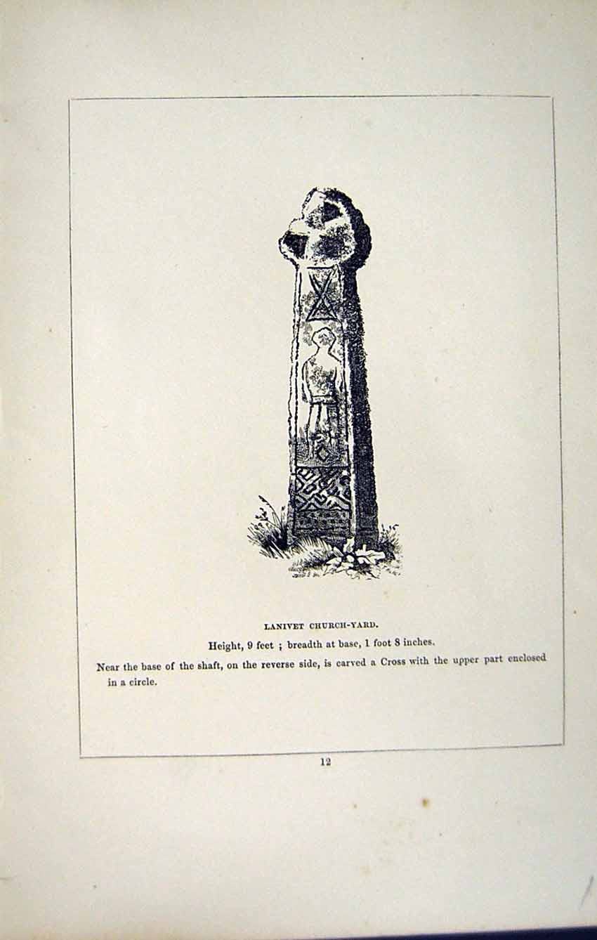 Antique Print *2729 C1858 Cross Lanivet Churchyard Cornwall England Blight