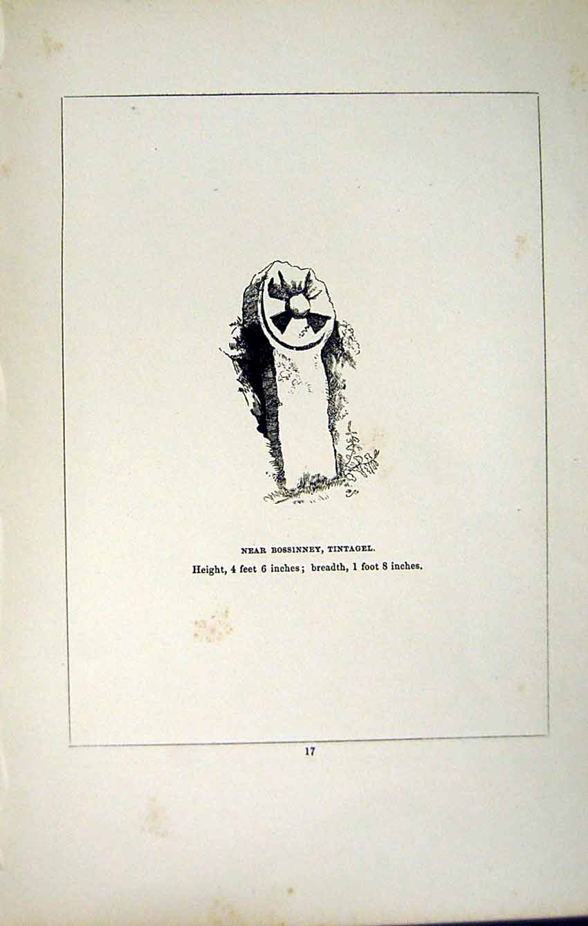 Antique Print *2733 C1858 Cross Bossinney Tintagel Cornwall England Blight