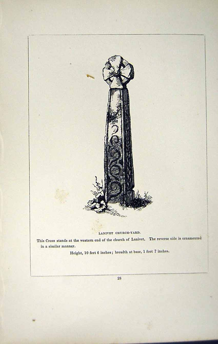 Antique Print *2742 C1858 Cross Cornwall Lanivet Churchyard England Blight