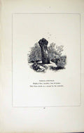 Antique Old Print *2753 C1858 Cross Treslay Cardynham Cornwall England Blight