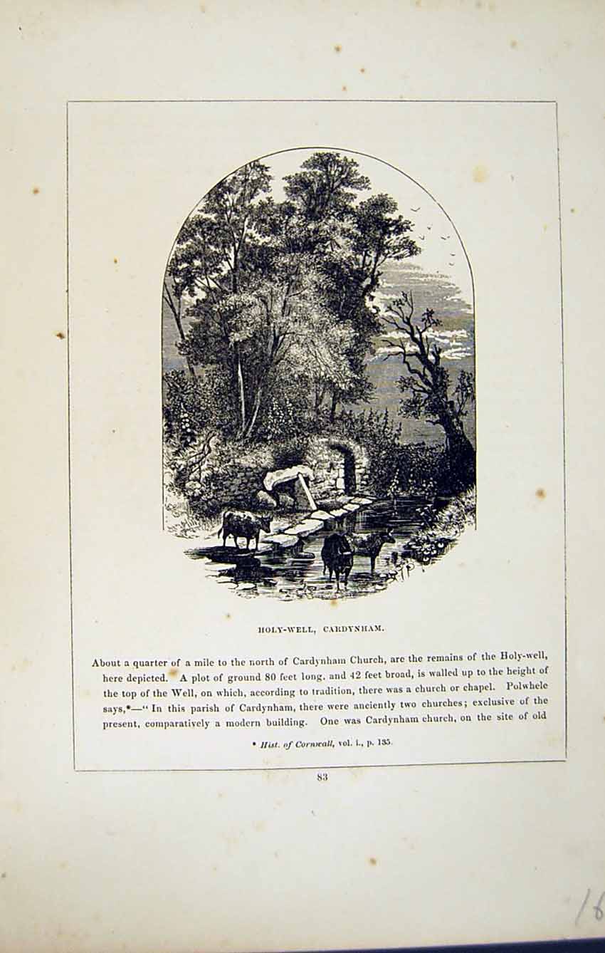 Old Antique Print *2781 C1858 Cornwall Holy-Well Cardynham England Blight