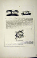 Antique Old Print *2801 C1858 Corbels Morwenstow Church Solomon Seal Cornwall