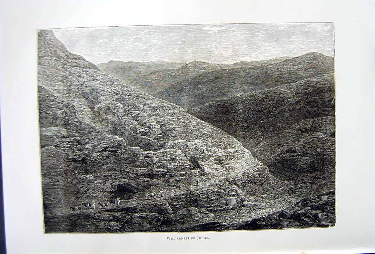 Antique Old Print *2814 C1890 Palestine View Wilderness Judaea Donkeys Hills