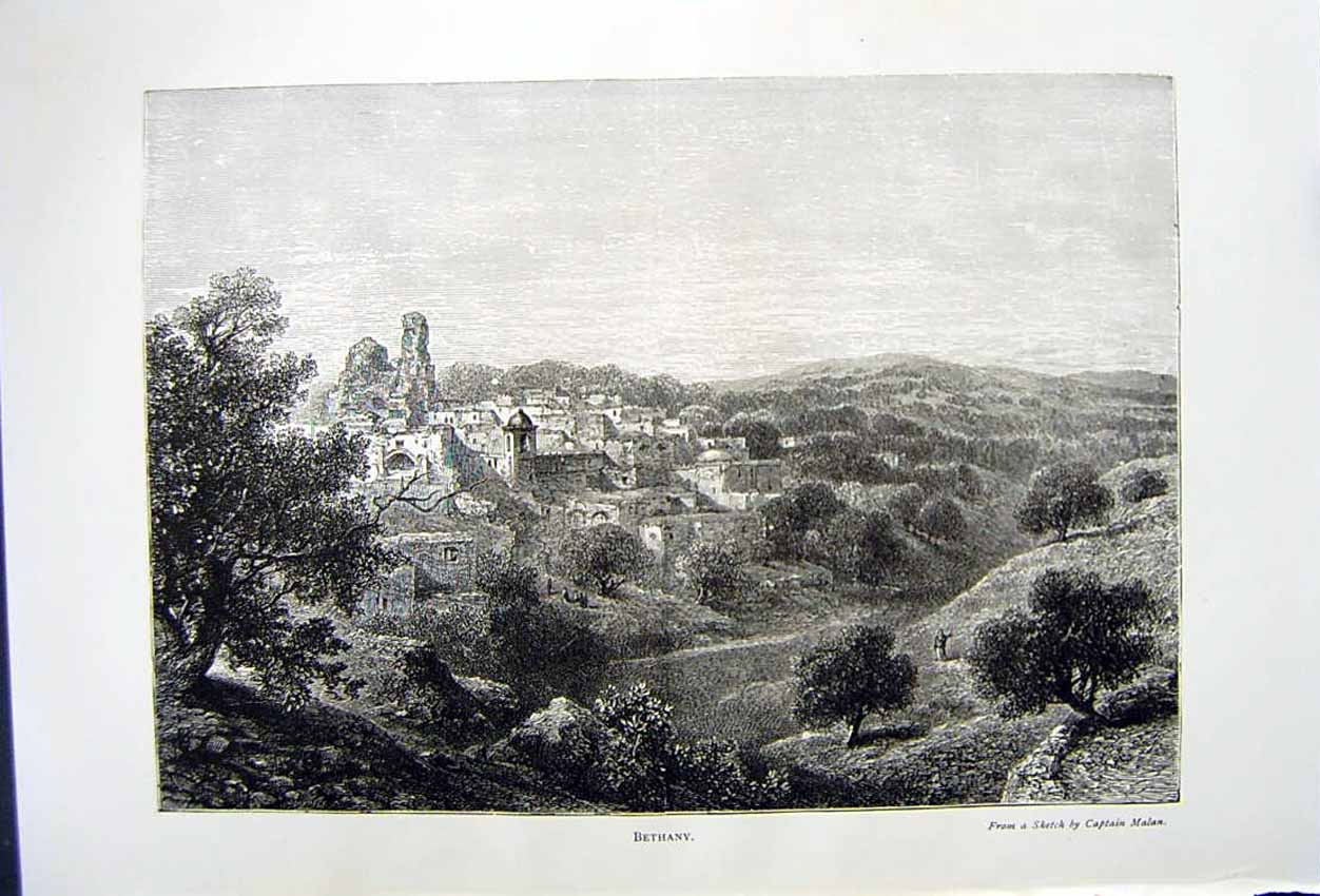 Antique Print *2818 C1890 Palestine View Town Bethany Houses Trees Mountain