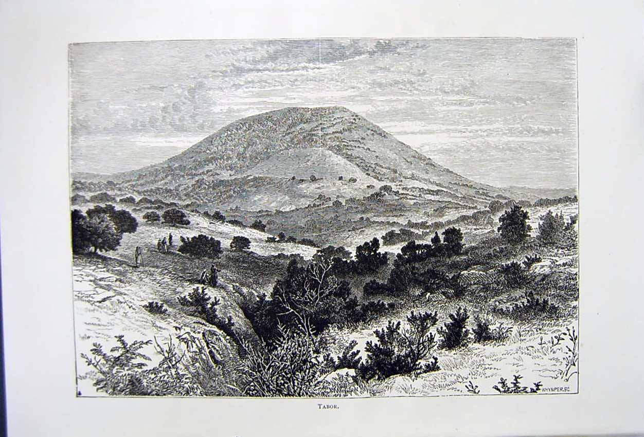Old Antique Print *2830 C1890 Palestine View Tabor Mountains Trees Bushes