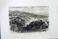 Original Old Antique Print *2834 C1890 Palestine View Hills Gennesareth Trees