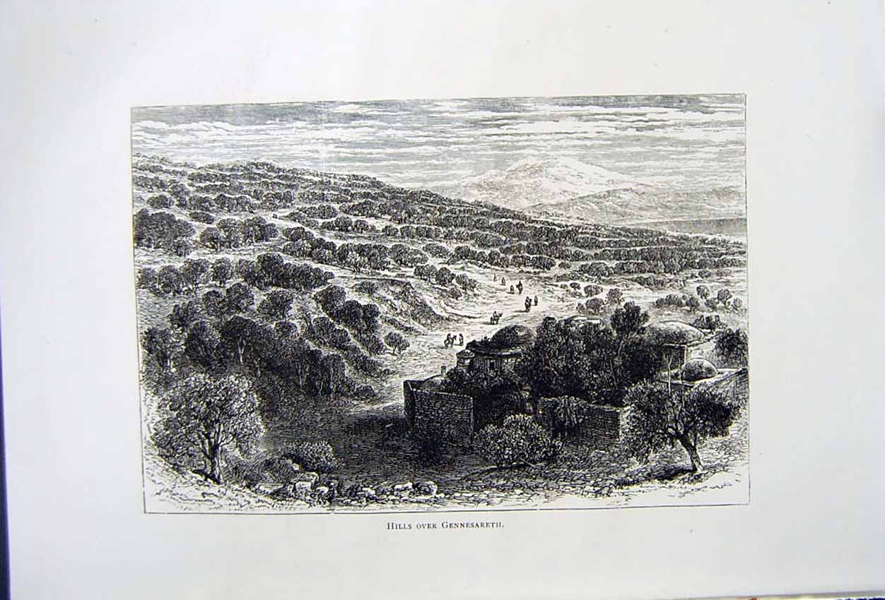 Original Old Antique Print *2834 C1890 Palestine View Hills Gennesareth Trees