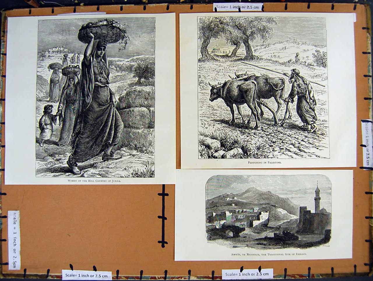 Antique Old Print *2836 C1890 Palestine Women Judaea Ramleh Nicopolis Emmaus
