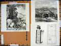 Antique Old Print *2842 C1890 Palestine Samaria Shepherd Bethlehem Pentateuch
