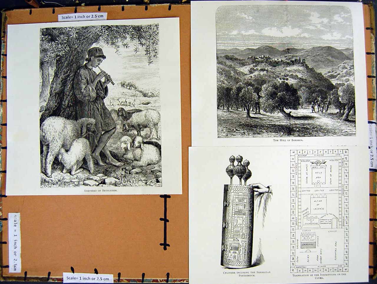 Antique Old Print *2842 C1890 Palestine Samaria Shepherd Bethlehem Pentateuch