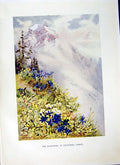 Antique Print *2859 C1915 Switzerland Engleberg Engelberg Mountains Lucerne