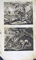 Antique Print *2863 1805 Mary Ann Adams Fables Traveller Lion Tiger Nature