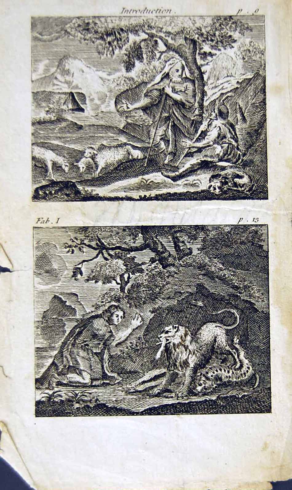Antique Print *2863 1805 Mary Ann Adams Fables Traveller Lion Tiger Nature