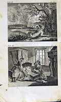 Antique Print *2864 1805 Mary Ann Adams Fables Spaniel Dog Baby Crib House