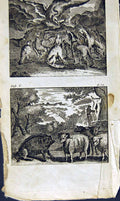 Old Antique Print *2865 1805 Mary Ann Adams Fables Eagles Animals Nature