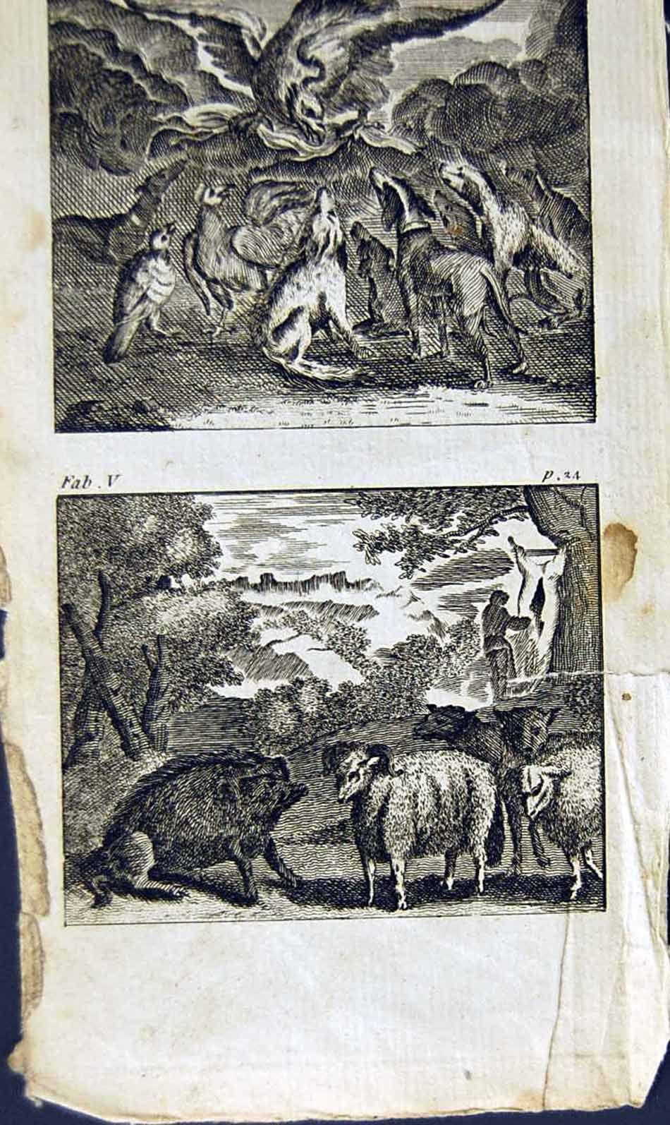 Old Antique Print *2865 1805 Mary Ann Adams Fables Eagles Animals Nature