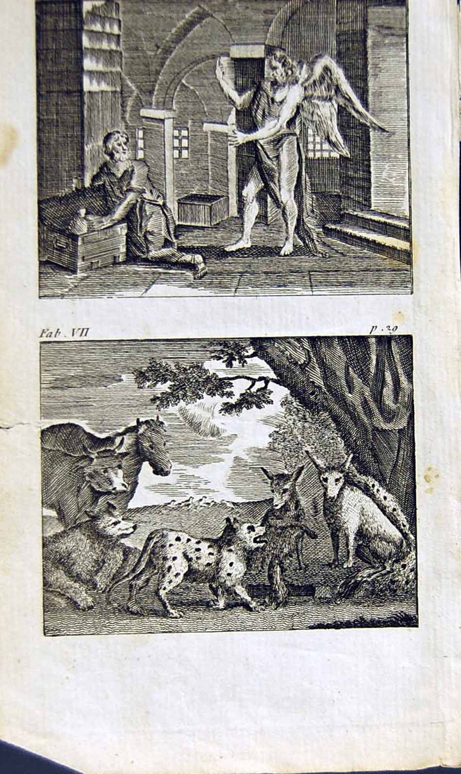 Antique Old Print *2866 1805 Mary Ann Adams Fables Miser Plutus Wild Boar Ram