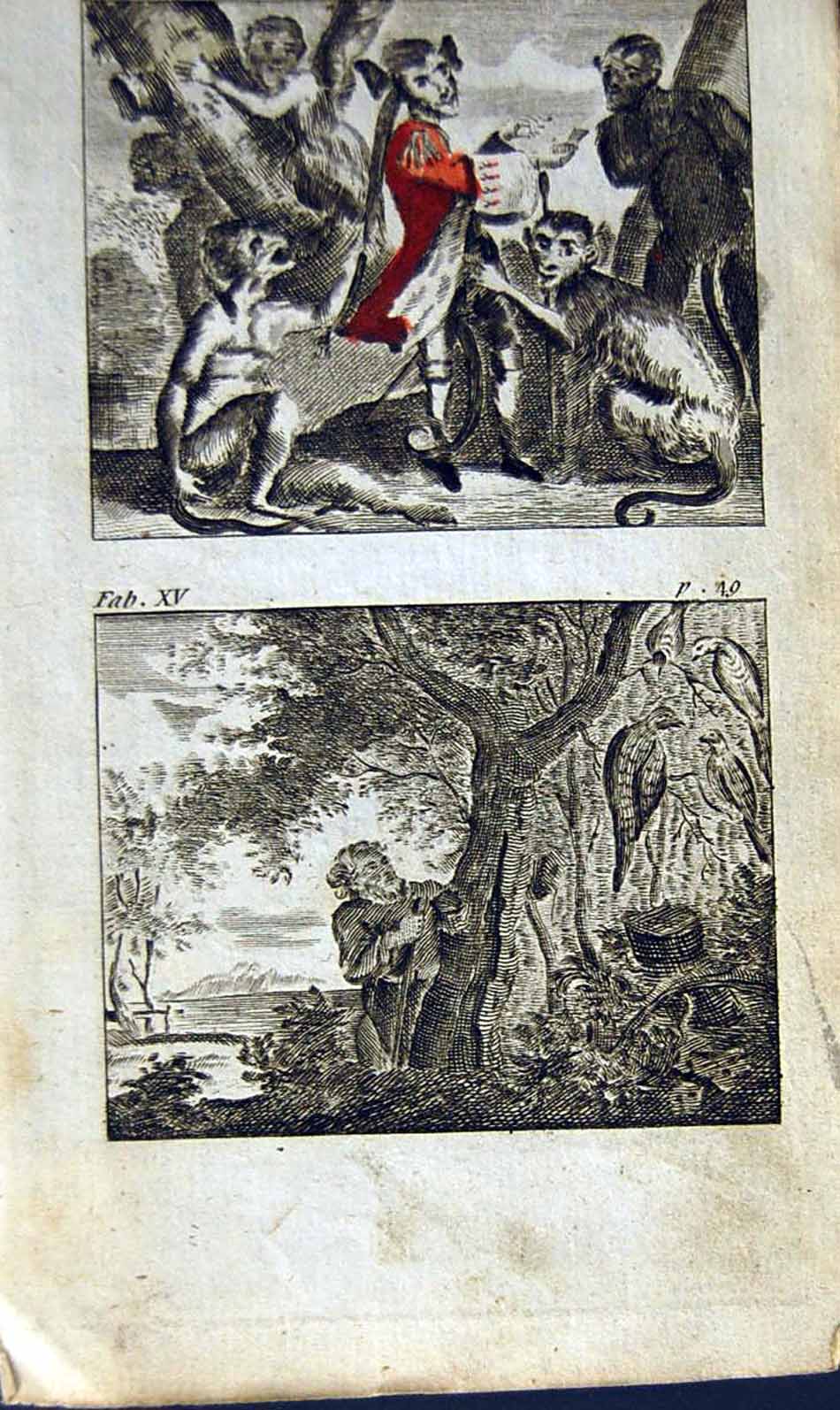 Antique Old Print *2869 1805 Mary Adams Fables Monkey Philosopher Pheasants