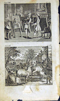 Antique Old Print *2871 1805 Mary Ann Adams Fables Artist Lion Curs Nature