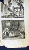 Old Antique Print *2872 1805 Mary Ann Adams Fables Hen Cock Pat Catcher