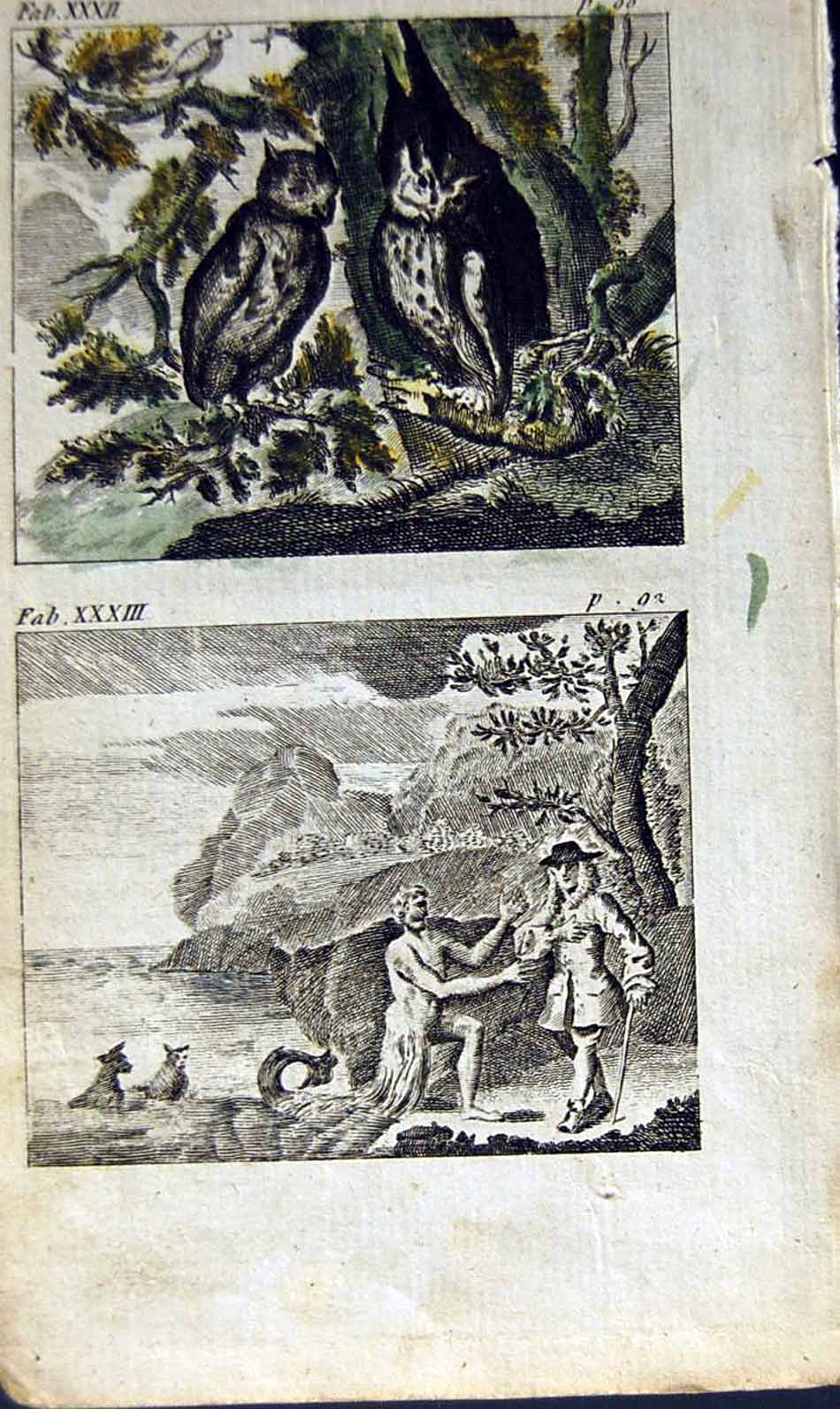 Antique Old Print *2874 1805 Mary Adams Fables Owls Sparrows Courtier Protus