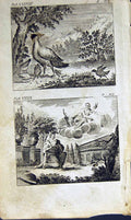 Old Antique Print *2877 1805 Mary Ann Adams Fables Father Jupiter Nature