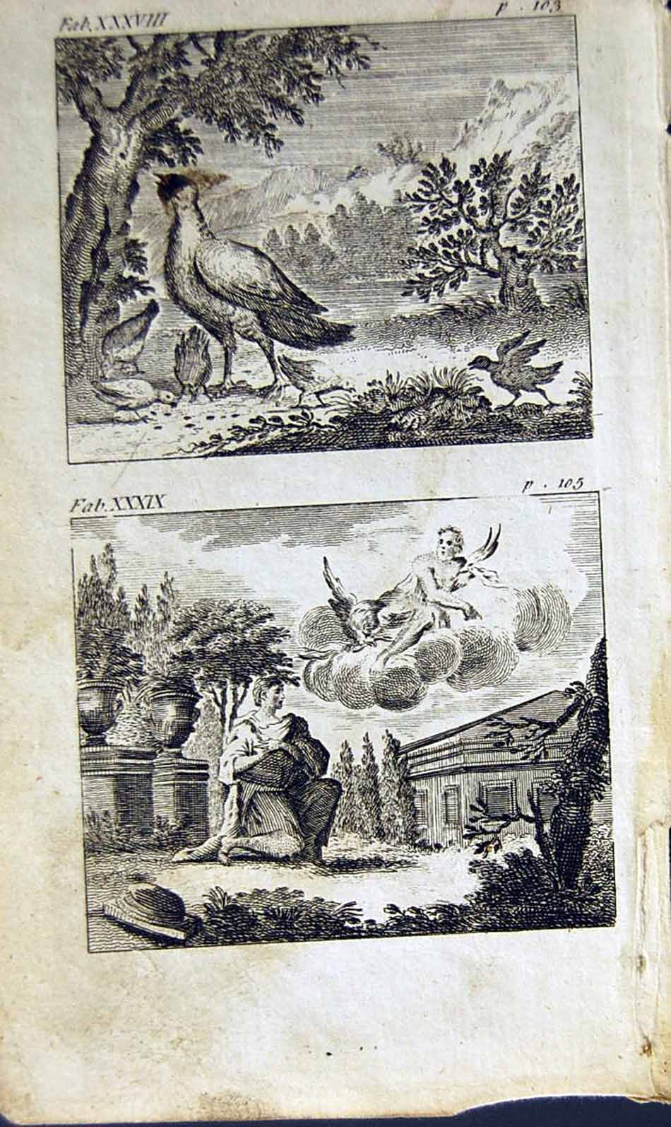 Old Antique Print *2877 1805 Mary Ann Adams Fables Father Jupiter Nature
