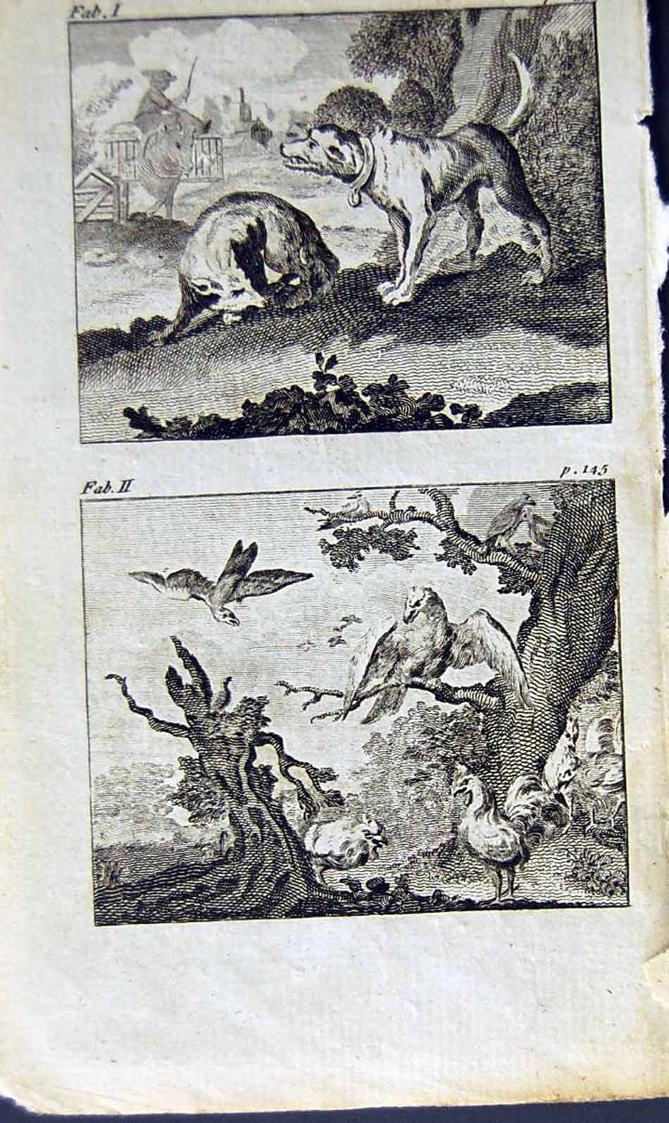 Antique Old Print *2883 1805 Mary Adams Fables Dog Fox Vulture Sparrow Birds