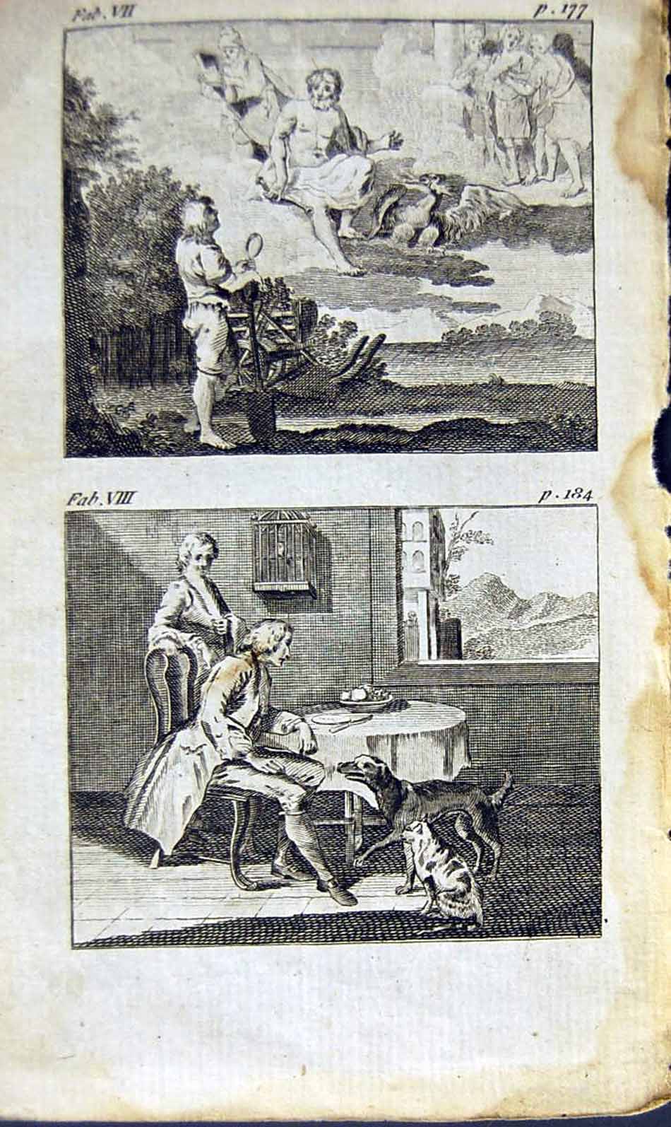 Original Old Antique Print *2886 1805 Mary Ann Adams Fables Man Dog Cat Fly