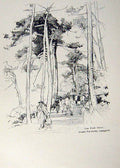 Antique Old Print *2910 C1920 Bournemouth Pine Walk Pleasure Gardens Woollard