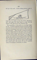 Old Print *2936 1889 Art Shooting Charles Lancaster Advertisment Scorer