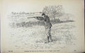 Antique Print *2946 1889 Art Shooting Charles Lancaster Hunting Sport Birds