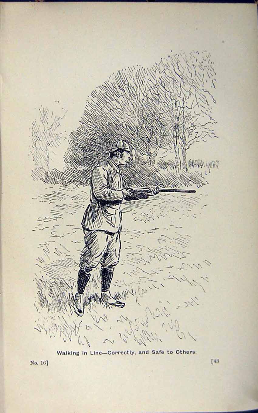 Old Print Ref.817 1889 Art Shooting Charles Lancaster Hunting Sport Birds