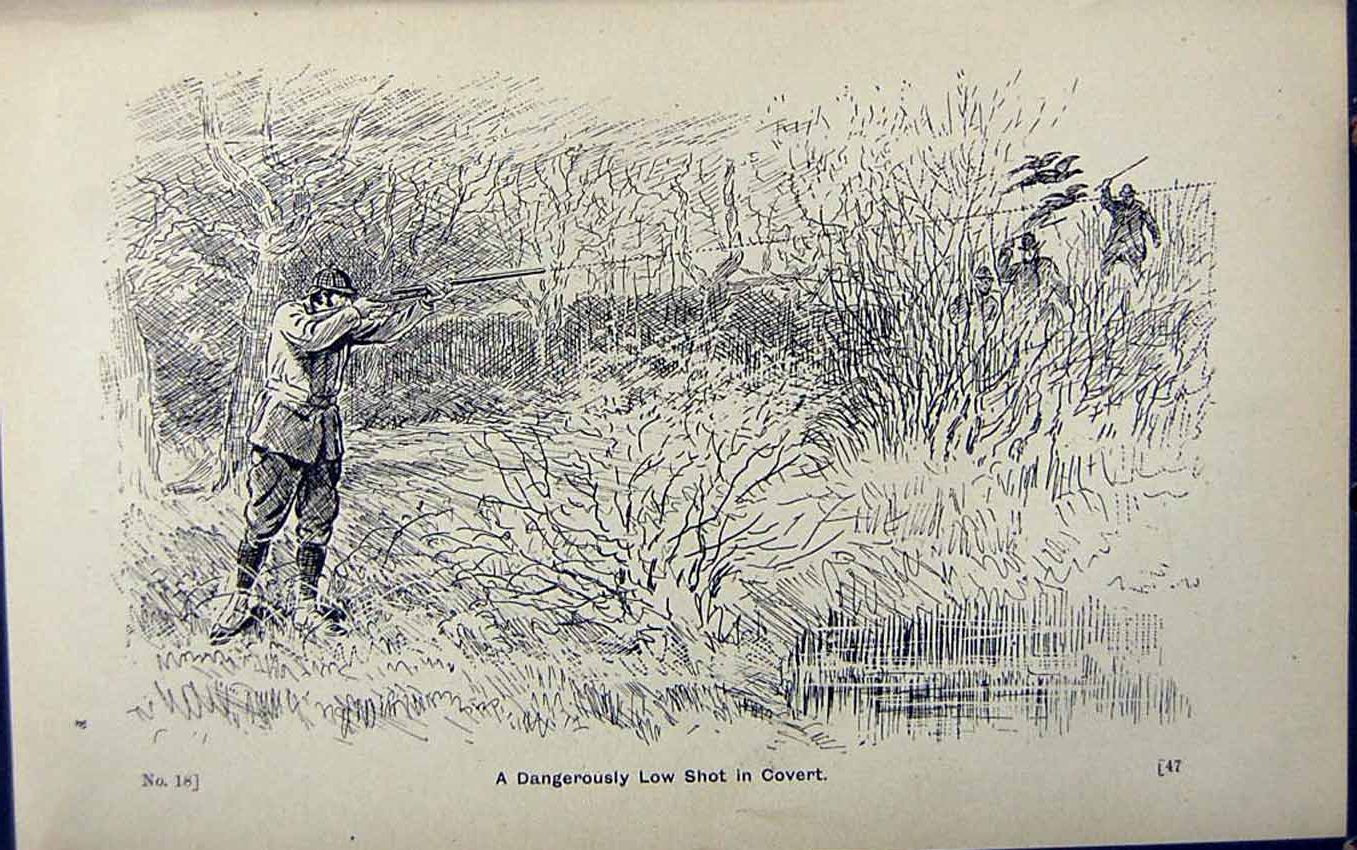 Old Print Ref.818 1889 Art Shooting Charles Lancaster Hunting Sport Birds
