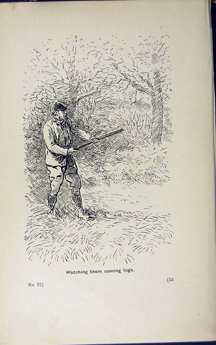 Old Print Ref.822 1889 Art Shooting Charles Lancaster Hunting Sport Birds