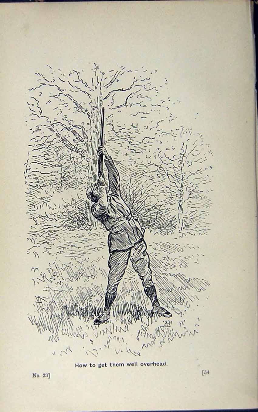 Old Print Ref.823 Hunting Sport Birds 1889 Art Shooting Charles Lancaster