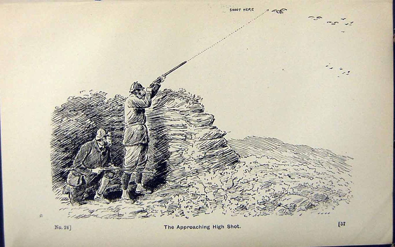 Old Print Ref.824 1889 Art Shooting Charles Lancaster Hunting Sport Birds