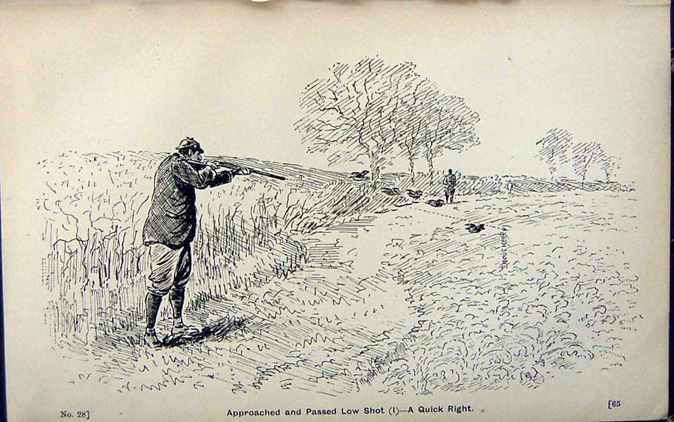 Antique Print *2948 Hunting Birds Sport 1889 Art Shooting Charles Lancaster