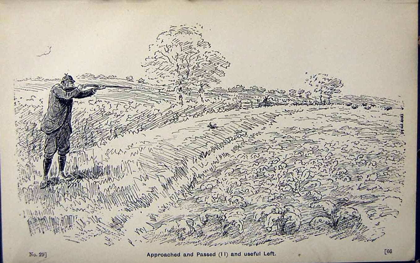 Old Print Ref.828 1889 Art Shooting Charles Lancaster Hunting Sport Birds