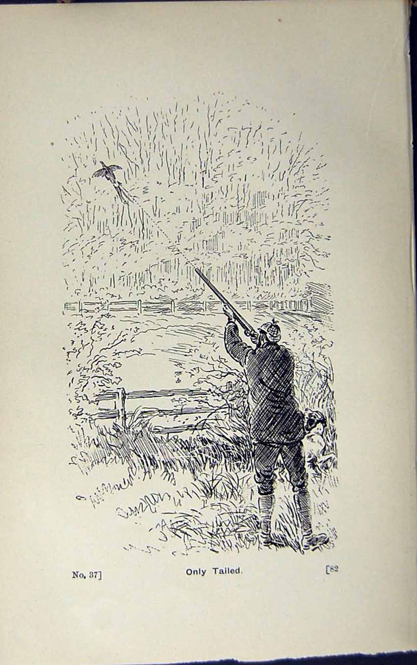 Old Print Ref.836 1889 Art Shooting Charles Lancaster Hunting Birds Sport