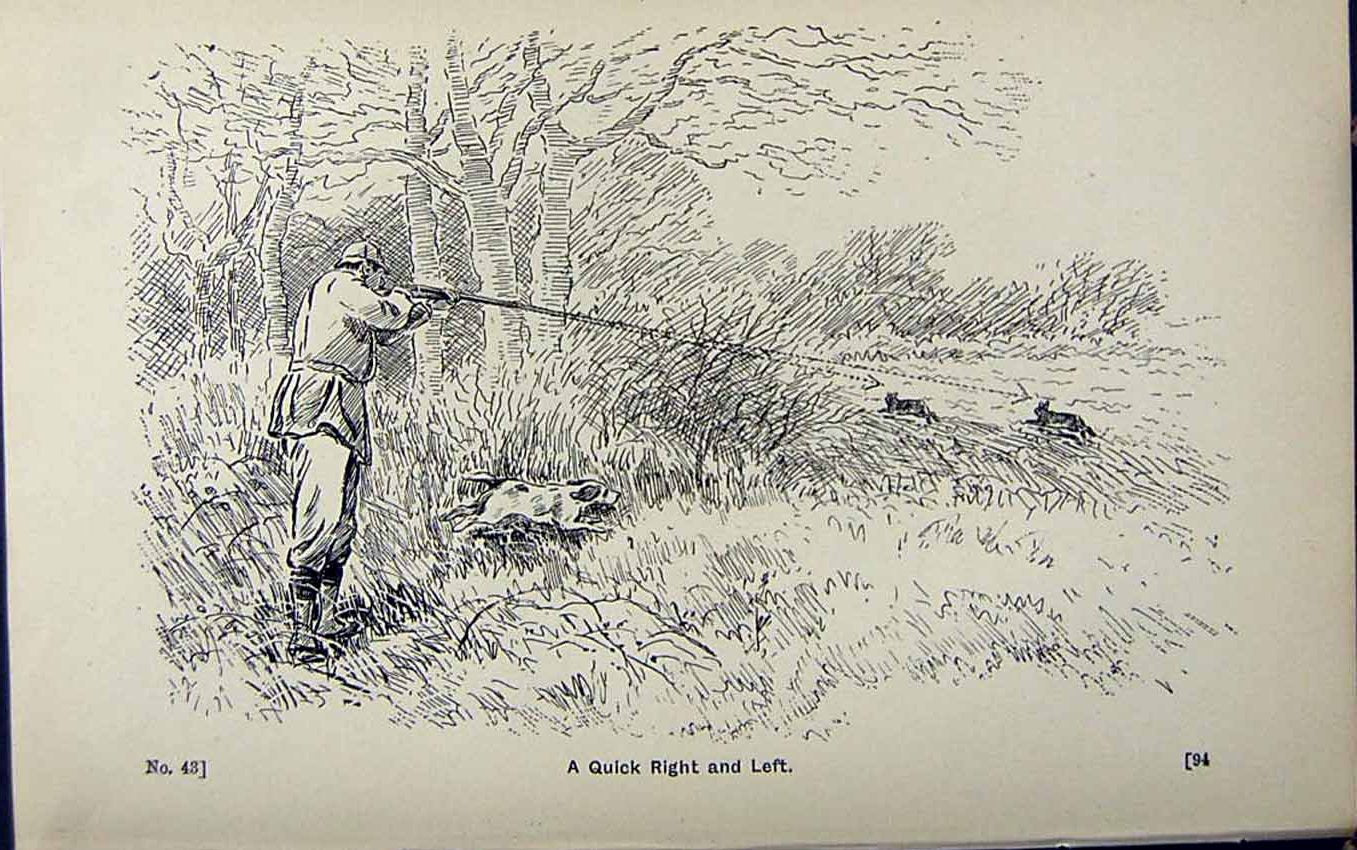 Old Antique Print *2953 1889 Art Shooting Charles Lancaster Hare Hunting
