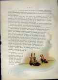 Original Old Antique Print *2973 1900 Colour Shoes Boots Homes Passing Show