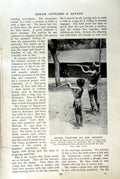 Original Old Vintage Print C1920 Annam Savage Archery Moi Boys Reaping Rice