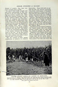 Original Old Vintage Print C1920 Annam Sugar-Cane Harvesting Cane-Mill Buffalo