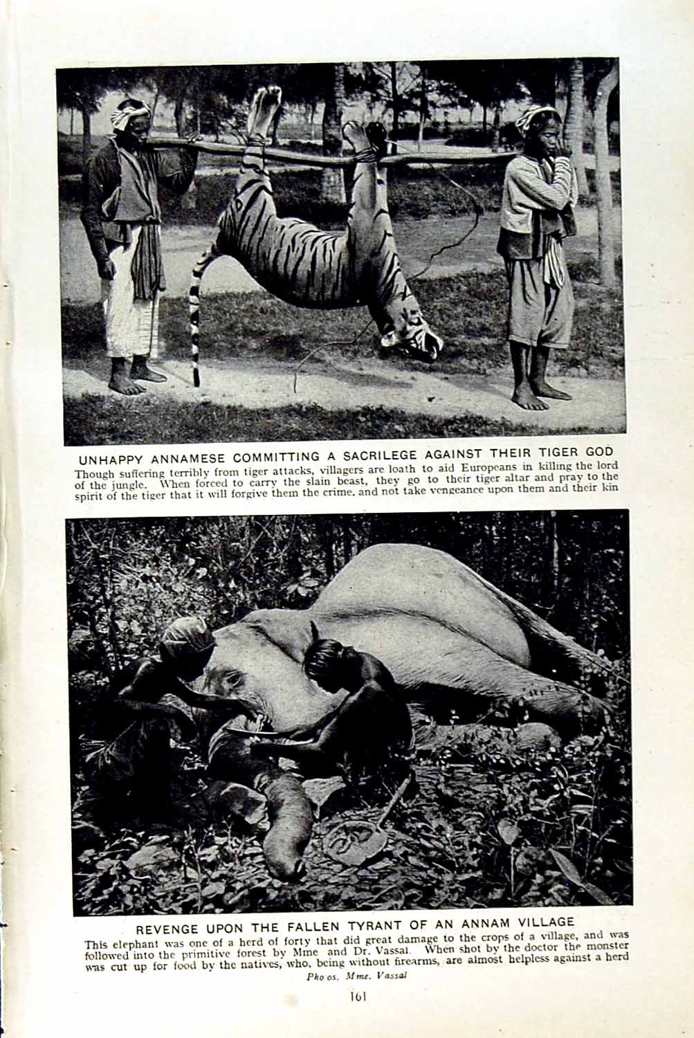 Old Vintage Print C1920 Annamese Sacrilege Tiger God Annam Lissom Tribe 20th
