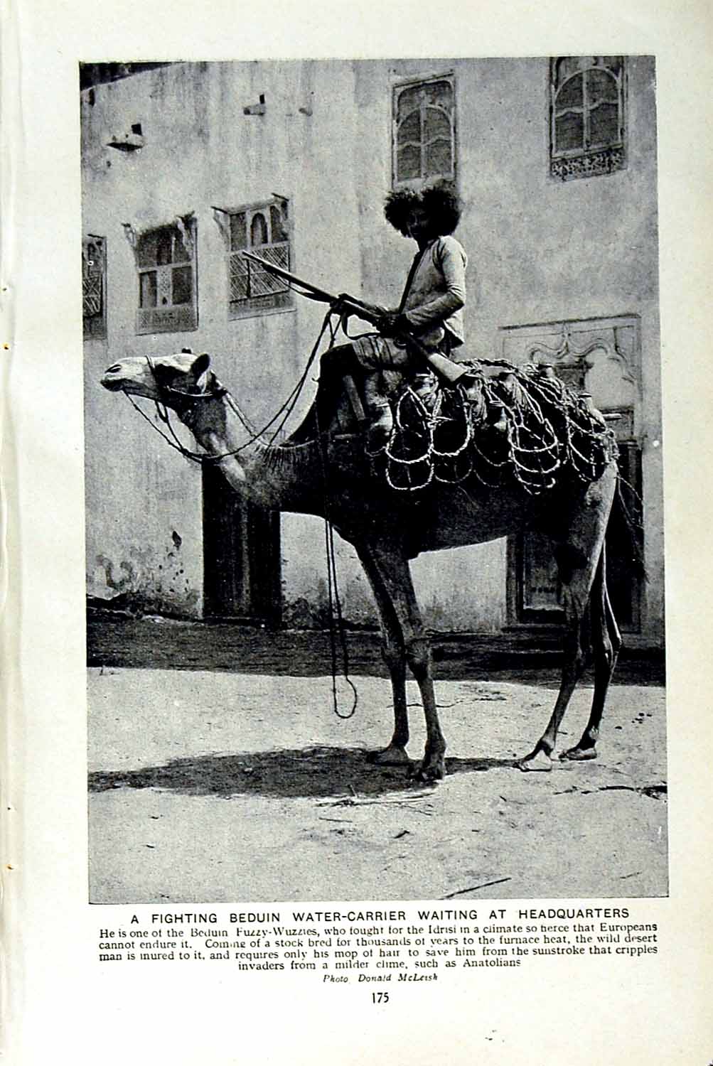 Original Old Vintage Print C1920 Beduin Water Carrier Fuzzy-Wuzzies Camel Man